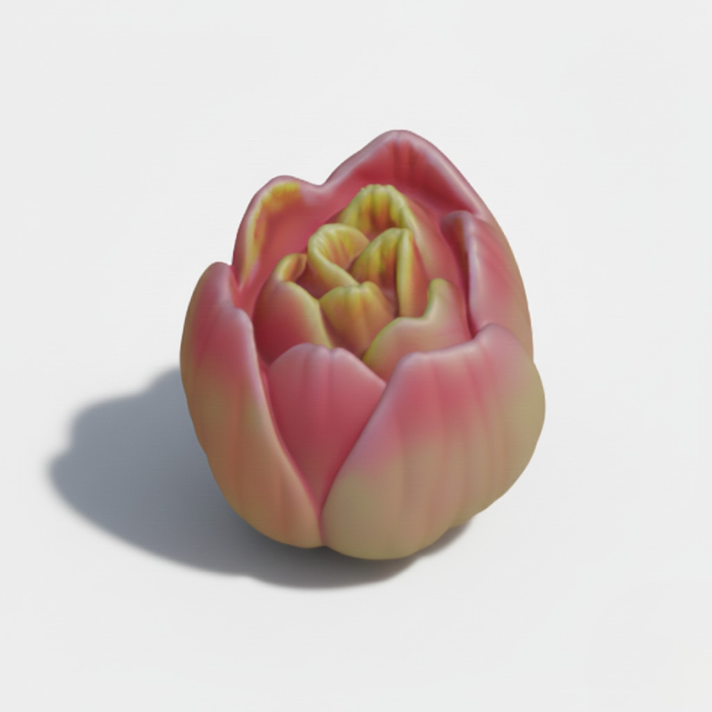 Цветок тюльпана